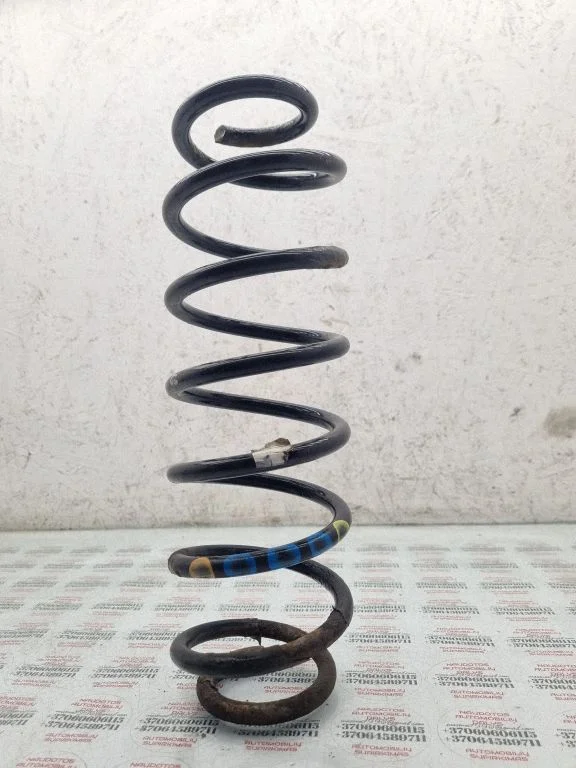 Rear coil spring