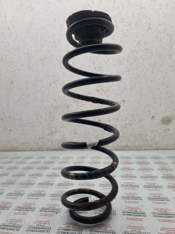 Rear coil spring