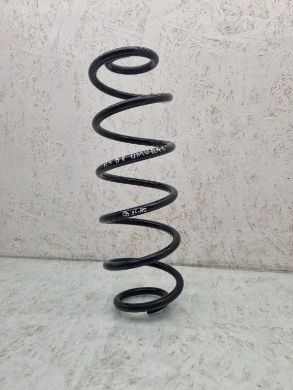 Rear coil spring