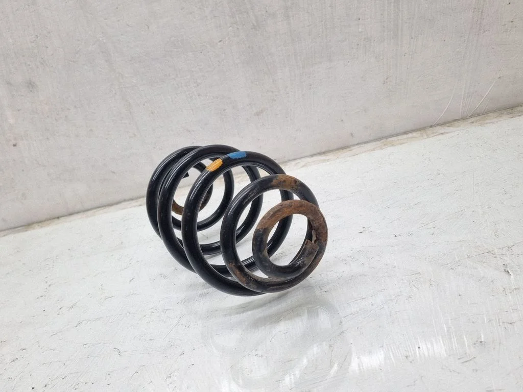 Rear coil spring