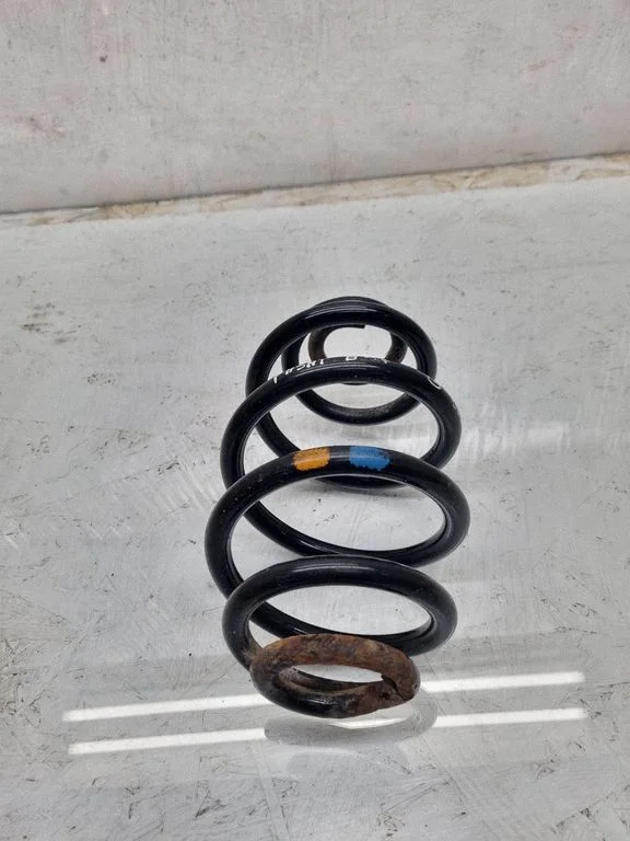 Rear coil spring