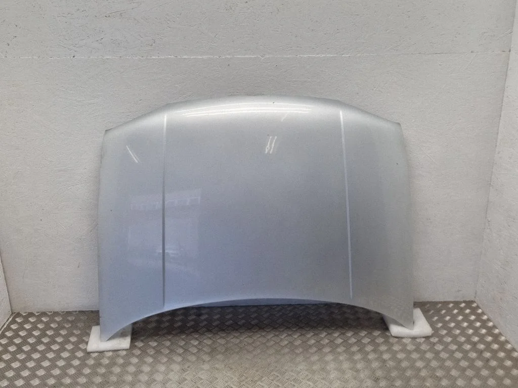 Engine bonnet/hood