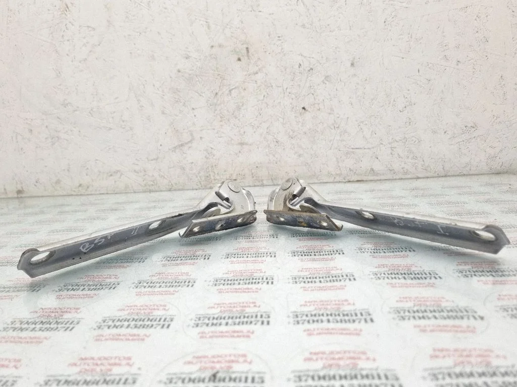 Engine bonnet/hood hinges