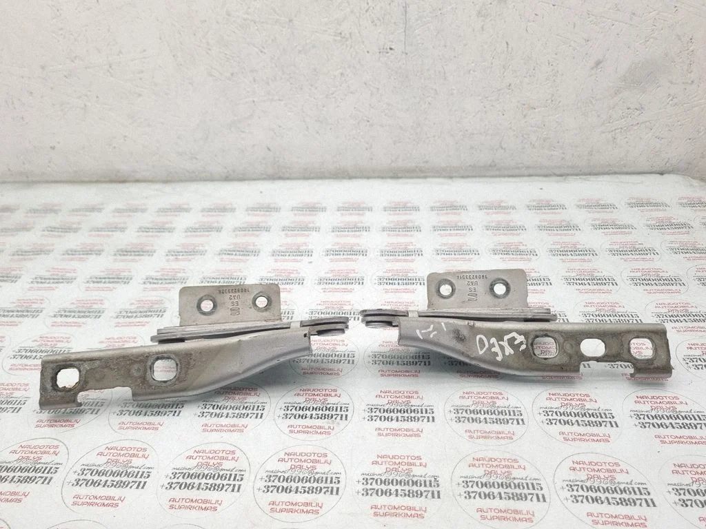 Motora pārsega eņģe (-es) 3R0823302A