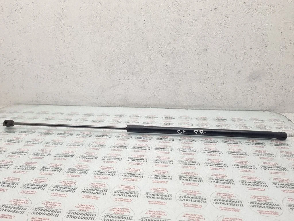 Front bonnet/hood damper/strut
