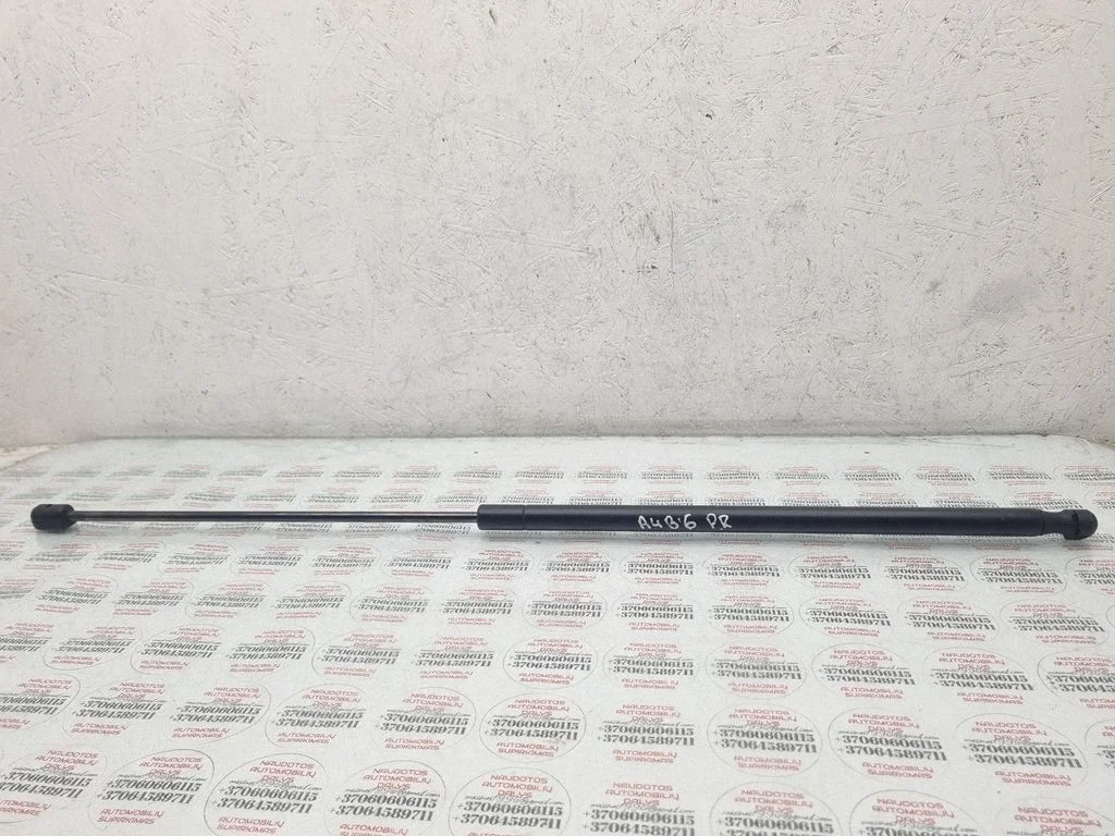 Front bonnet/hood damper/strut