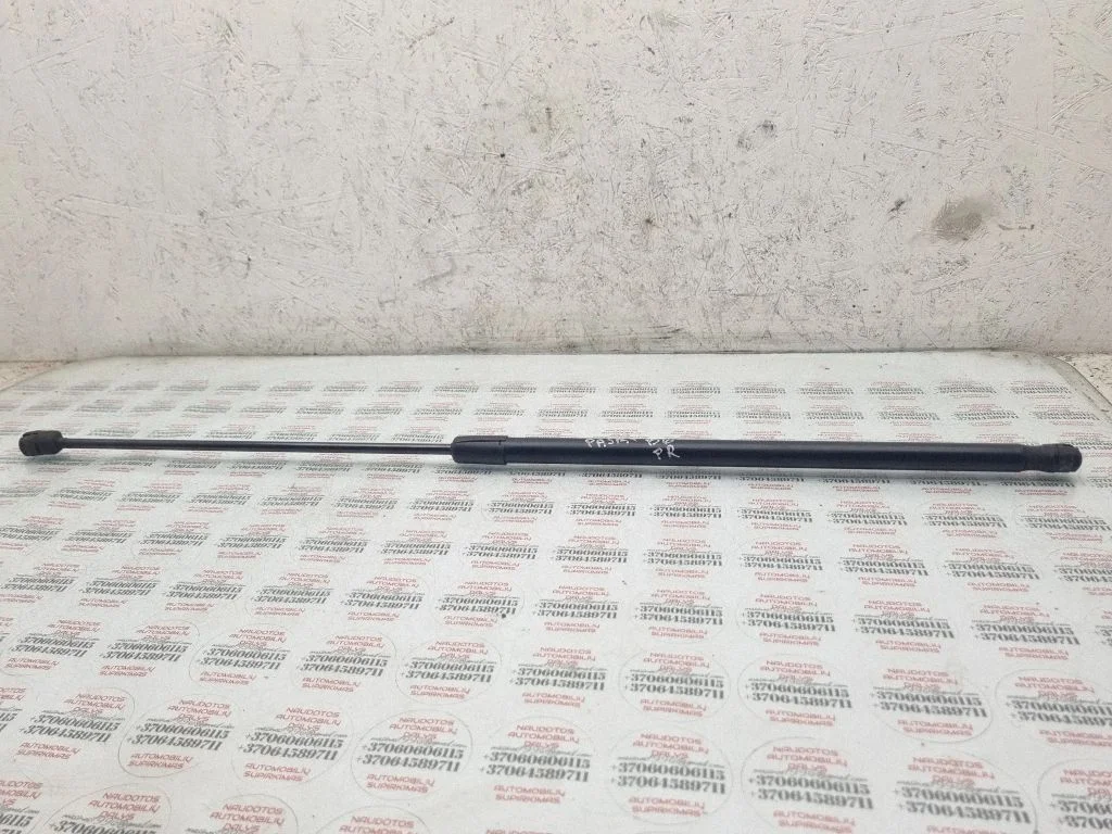 Front bonnet/hood damper/strut 3C0823359A