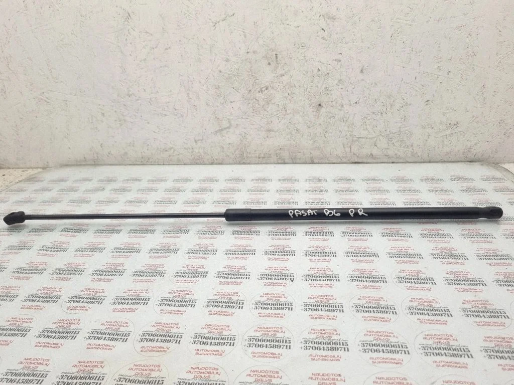 Motora pārsega amortizators 3C0823359A