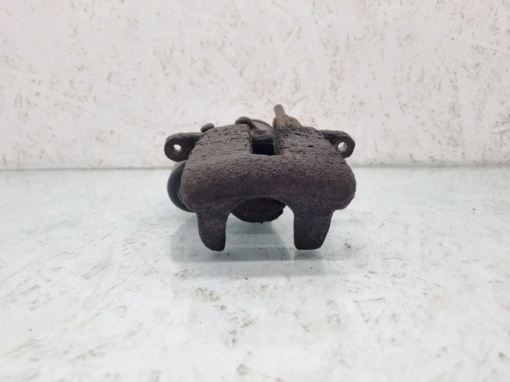 Tagumine pidurisadul – tagumine vasak