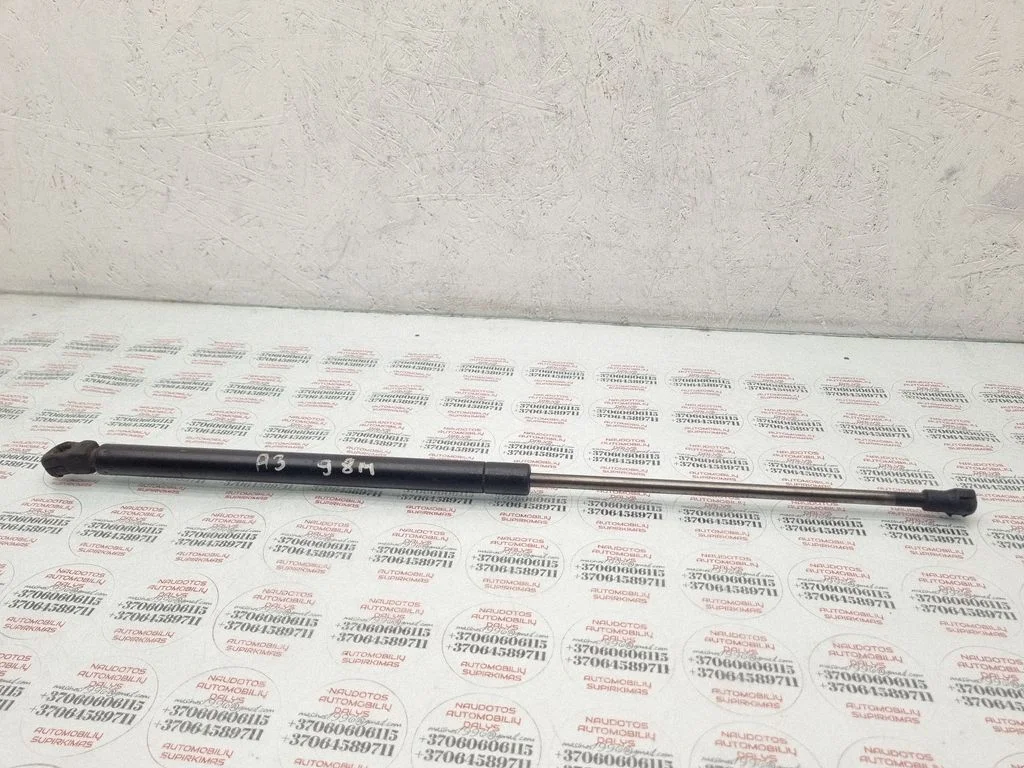 Tagaluugi gaasiamortisaator 8L0823359