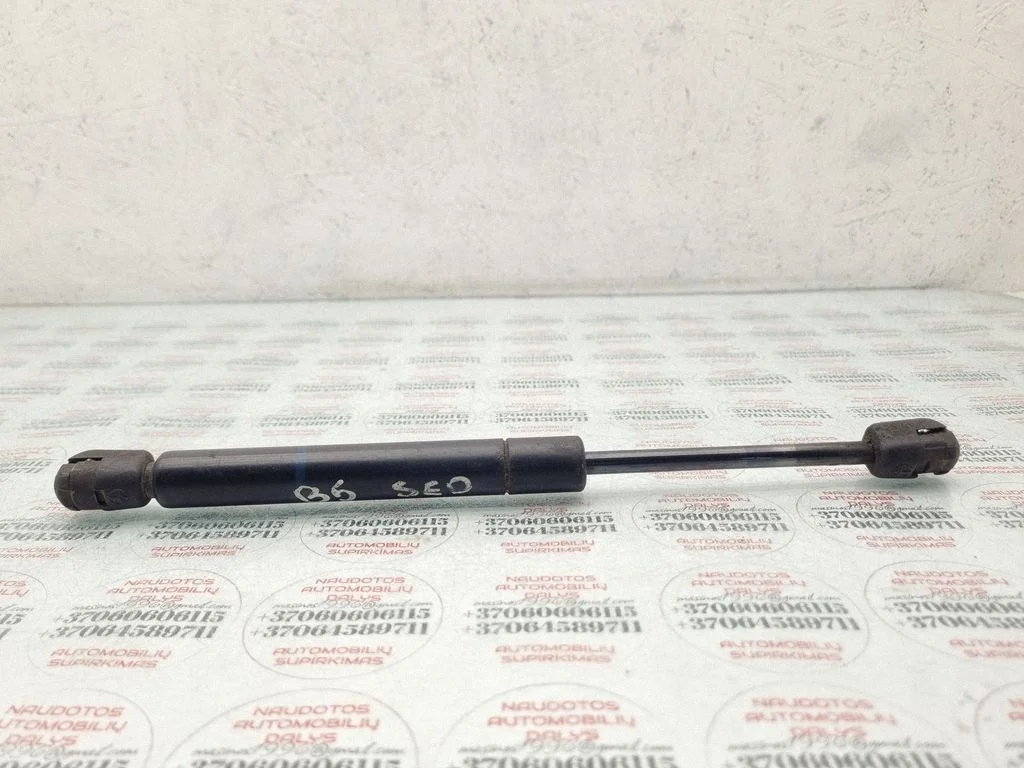 Tailgate/trunk strut/damper 3B5827550A