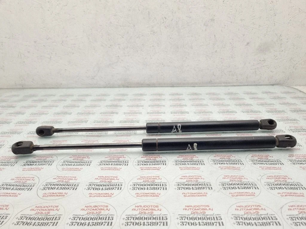 Tagaluugi gaasiamortisaator 4D0827551B