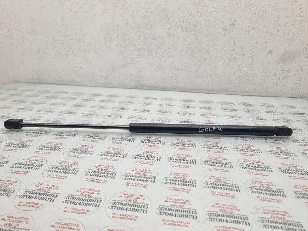 Tailgate/trunk strut/damper