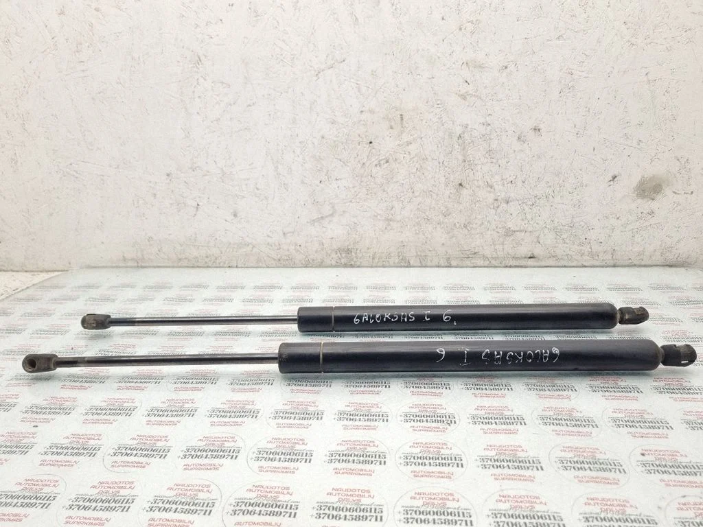 Tailgate/trunk strut/damper