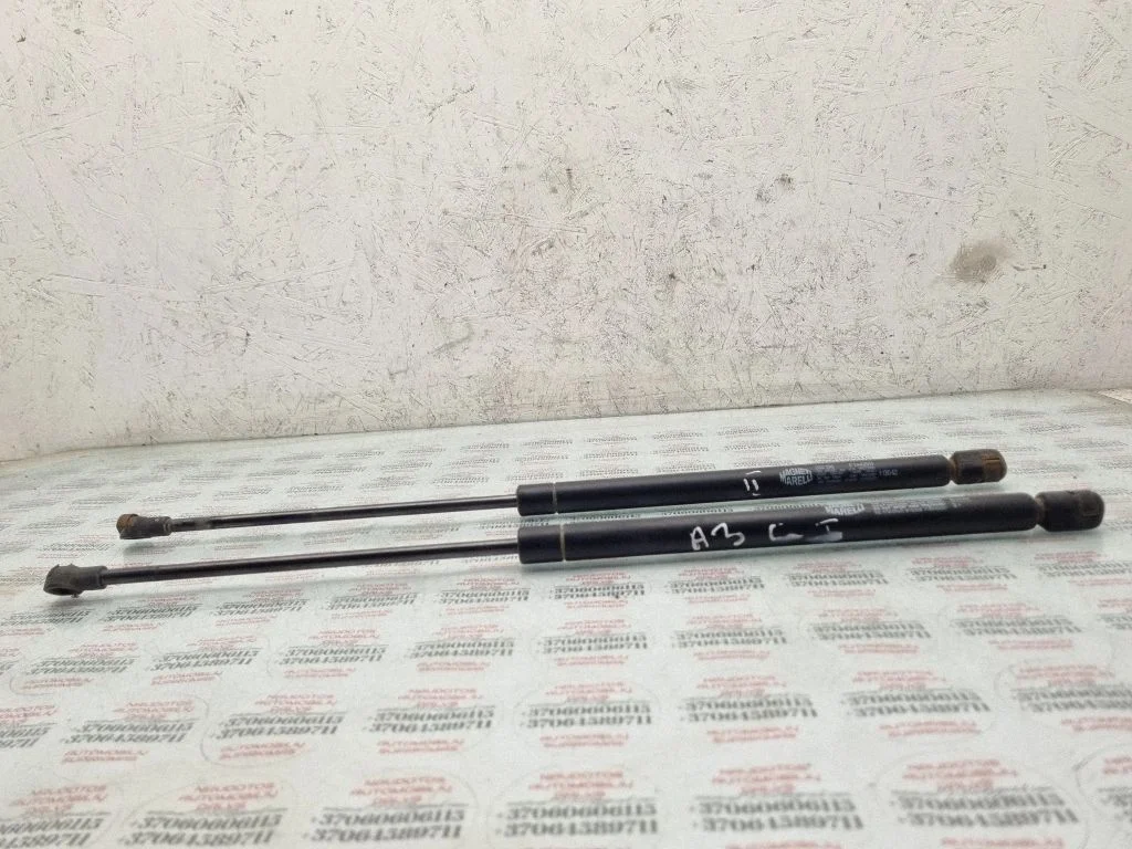 Tailgate/trunk strut/damper