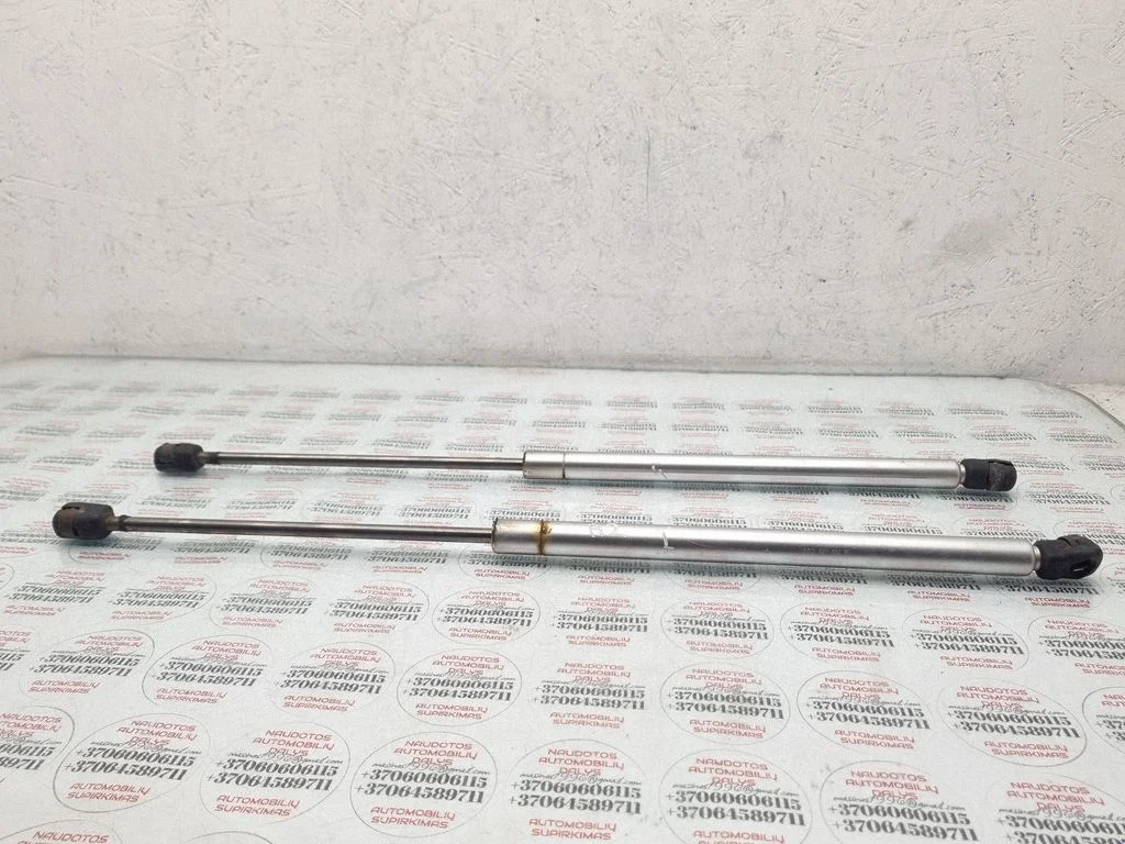 Tailgate/trunk strut/damper