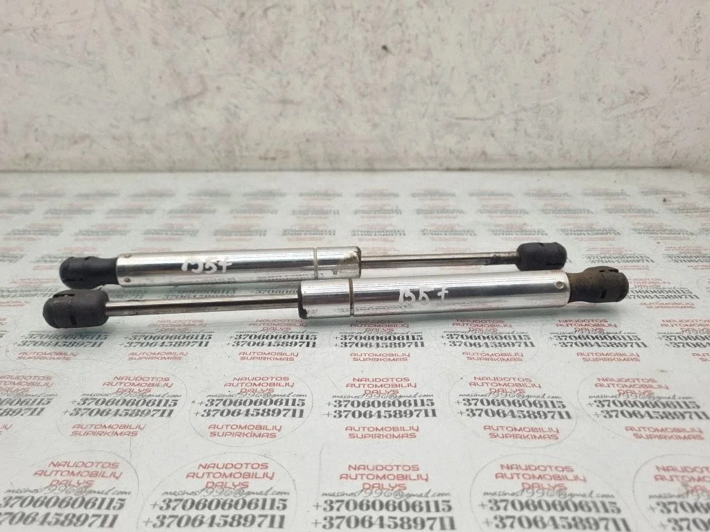 Tailgate/trunk strut/damper 3B5827550E