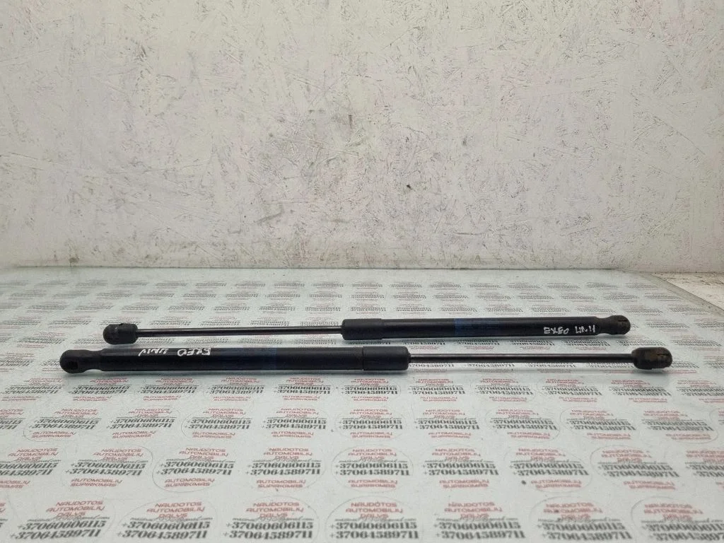Tailgate/trunk strut/damper 3R9827550