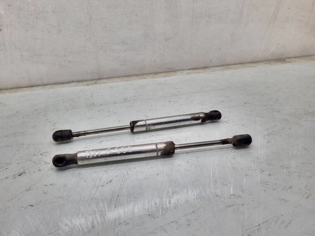 Tailgate/trunk strut/damper 3B5827550E