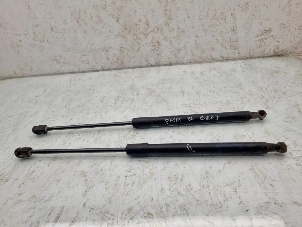 Tailgate/trunk strut/damper 3C9827550A
