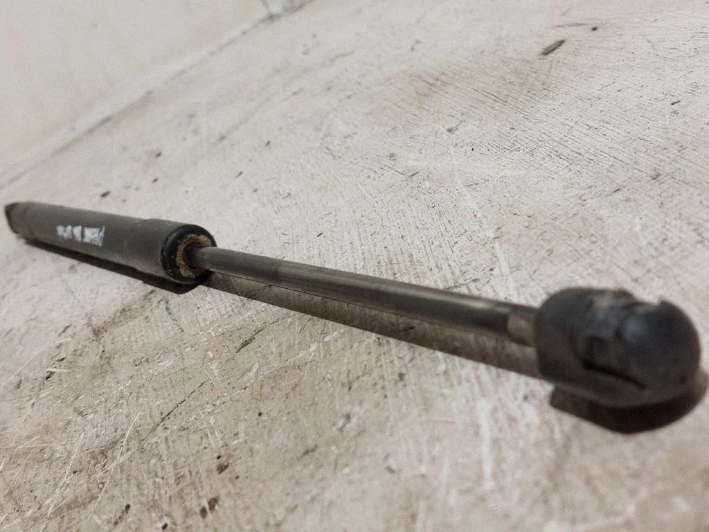Tailgate/trunk strut/damper 3C9827550A