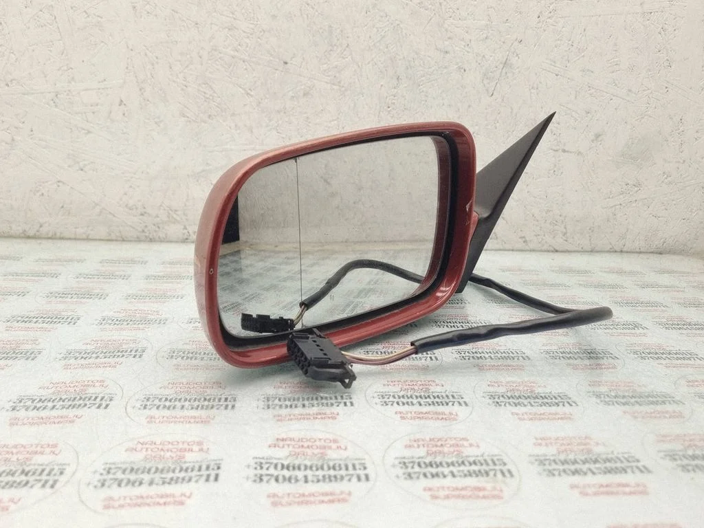 Front door electric wing mirror E1020479