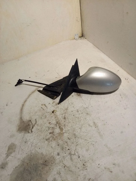 Front door electric wing mirror 014142