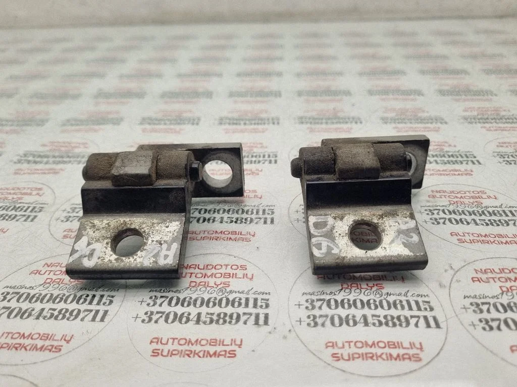 Tagaukse hingede komplekt