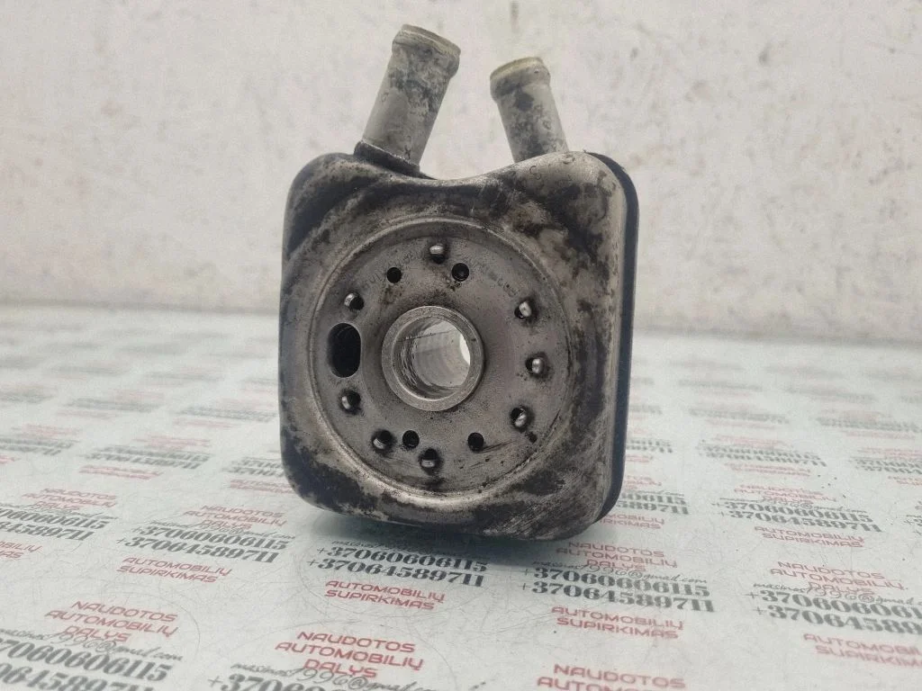 Oil filter mounting bracket