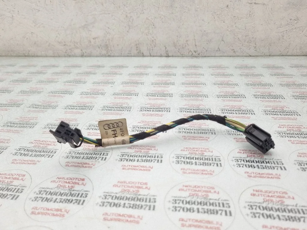 Priekšējo durvju vadu instalācija 4F0971687