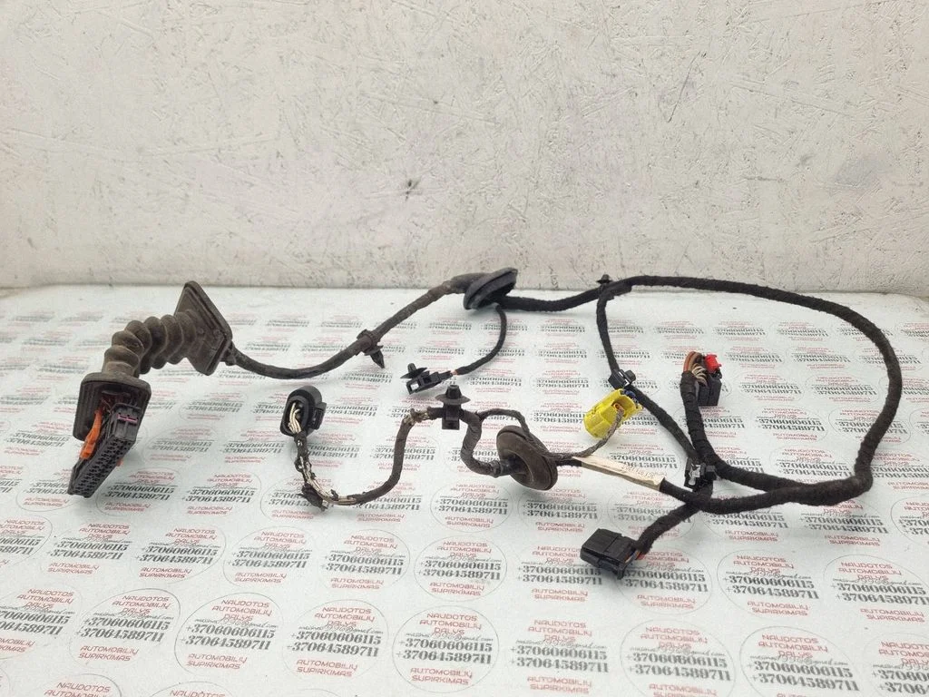 Front door wiring loom 3C1971120T