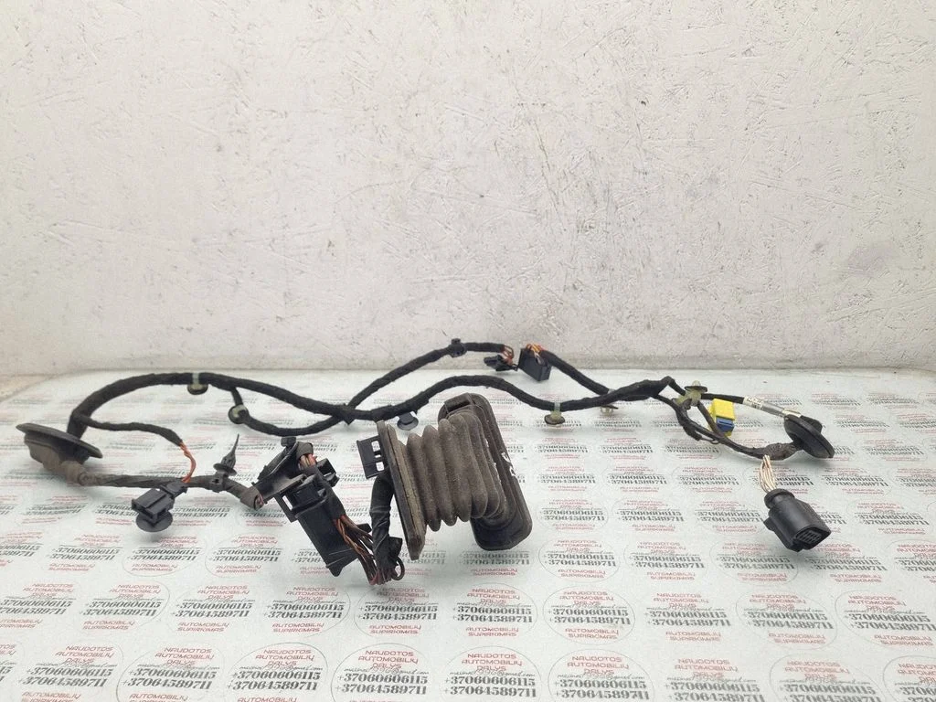 Priekšējo durvju vadu instalācija 3AC971120AF