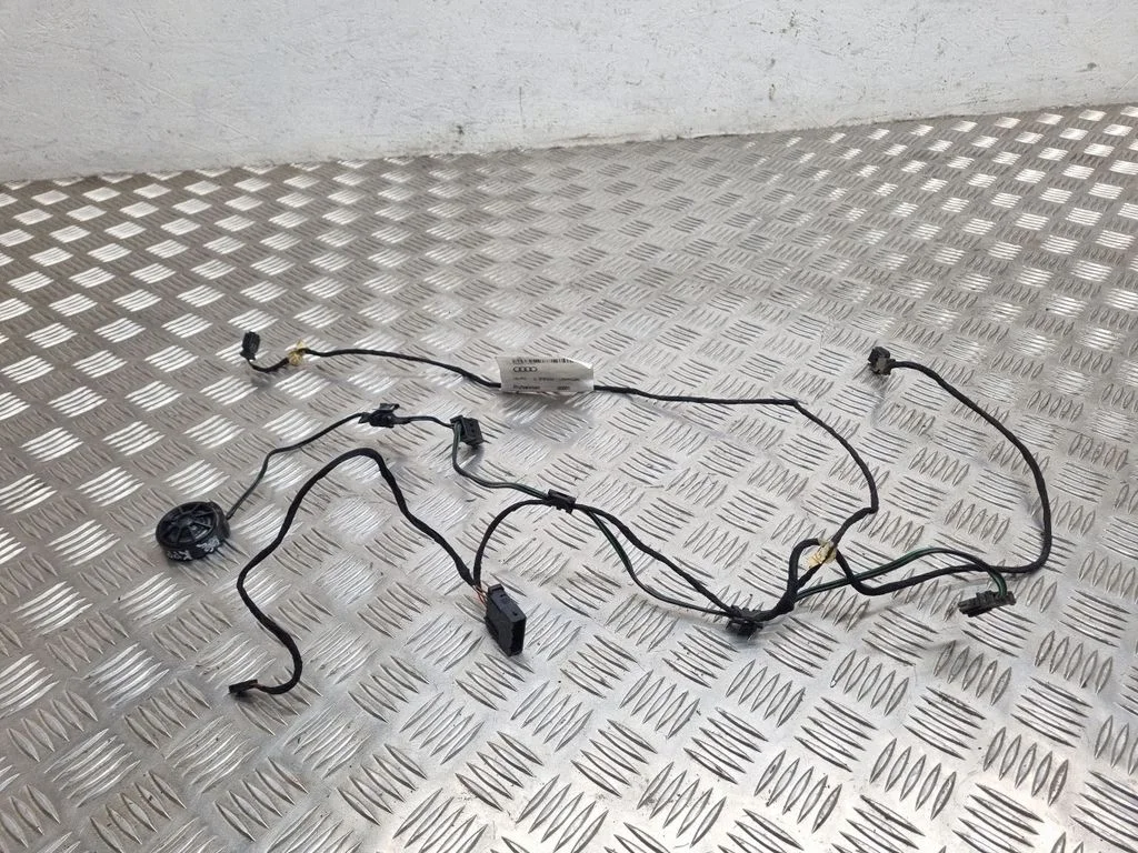 Front door wiring loom 4B0971035F