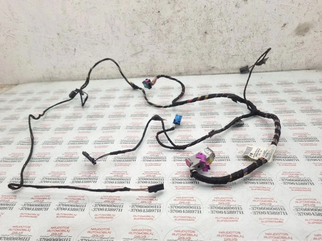 Priekšējo durvju vadu instalācija 7L6971121H