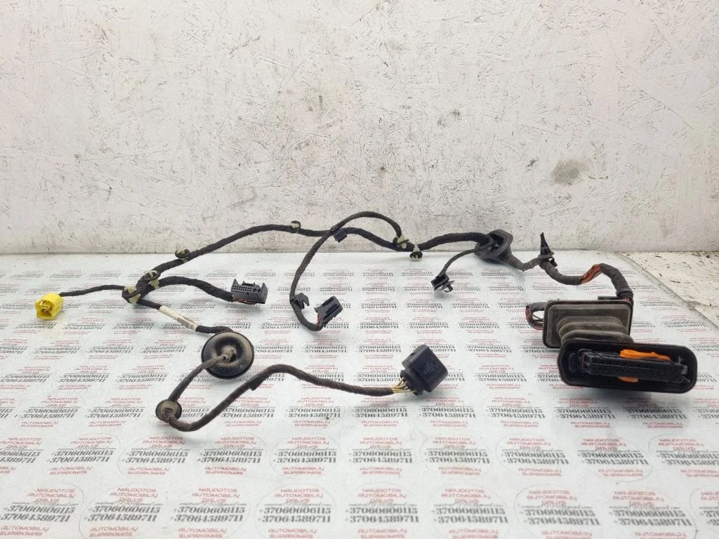 Front door wiring loom 3C1971120CK