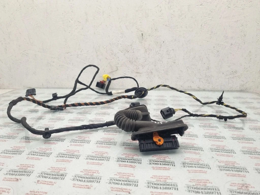 Front door wiring loom 3C8971121CG