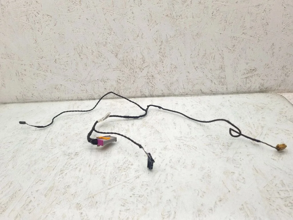 Front door wiring loom 8E1971035DJ
