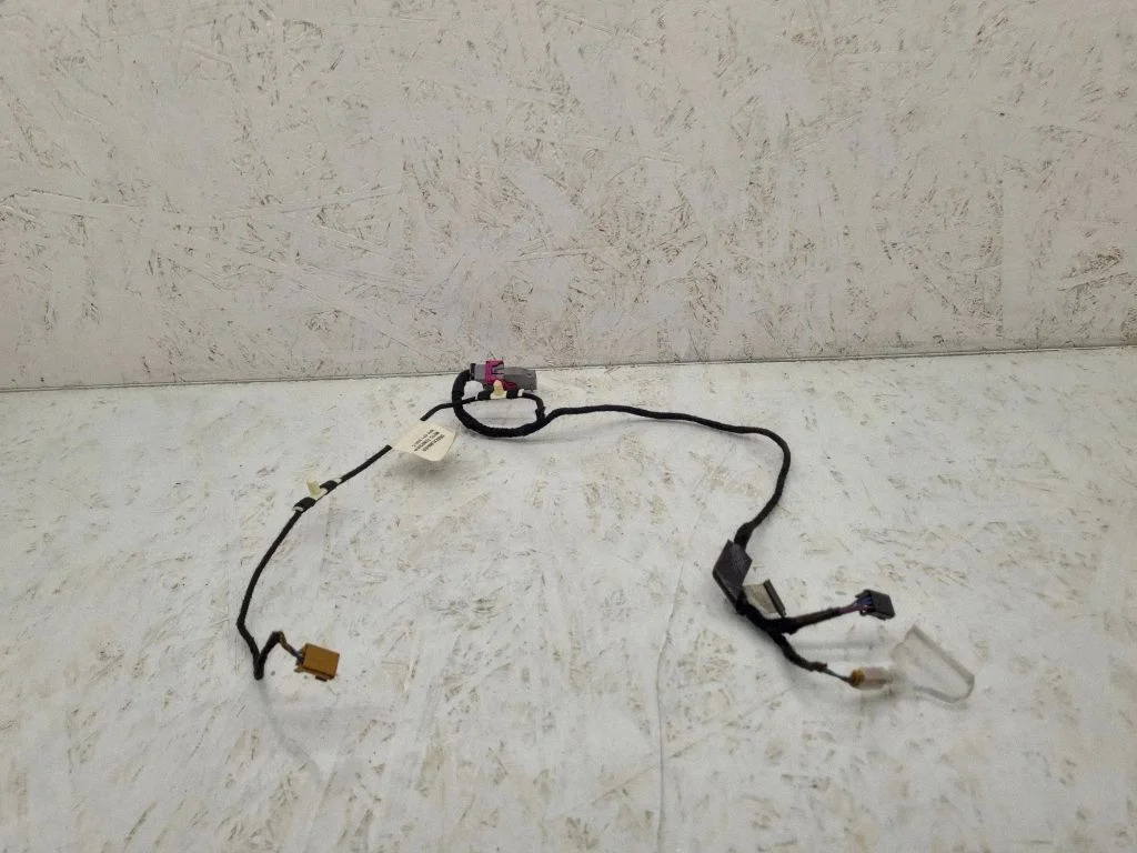 Front door wiring loom 8P4971036C