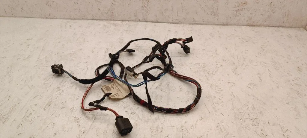 Front door wiring loom A9060005999