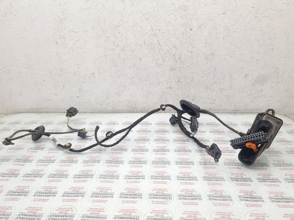 Aizmugurējo durvju vadu instalācija 3AA971694DG
