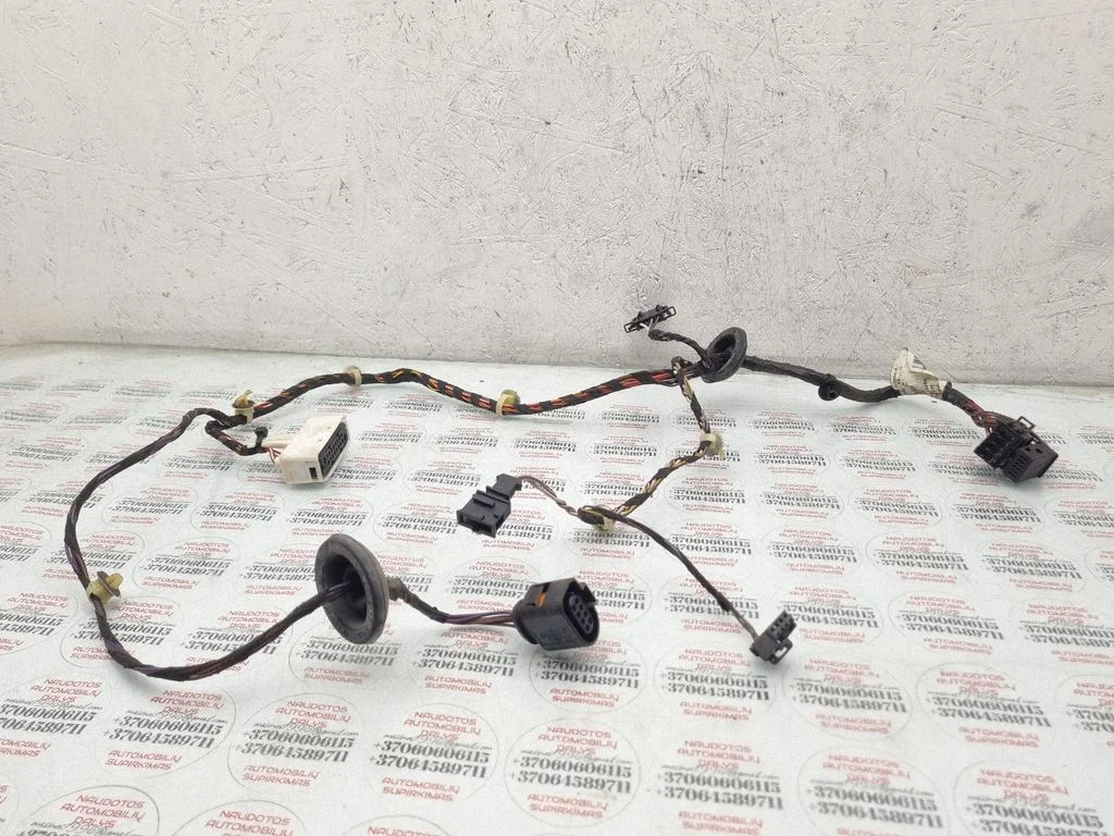 Aizmugurējo durvju vadu instalācija 1Z0161C