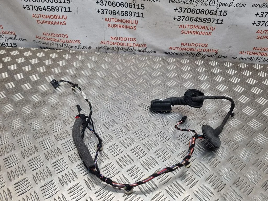 Tagaukse juhtmestik 5E0971694C
