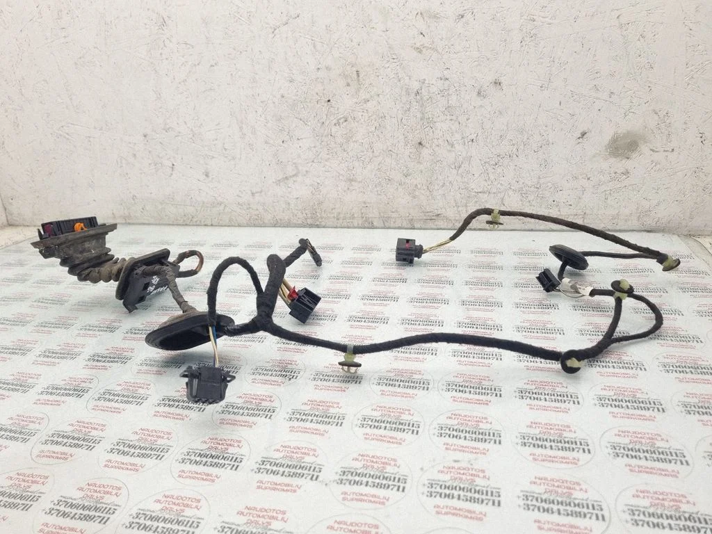 Aizmugurējo durvju vadu instalācija 3C4971693KJ
