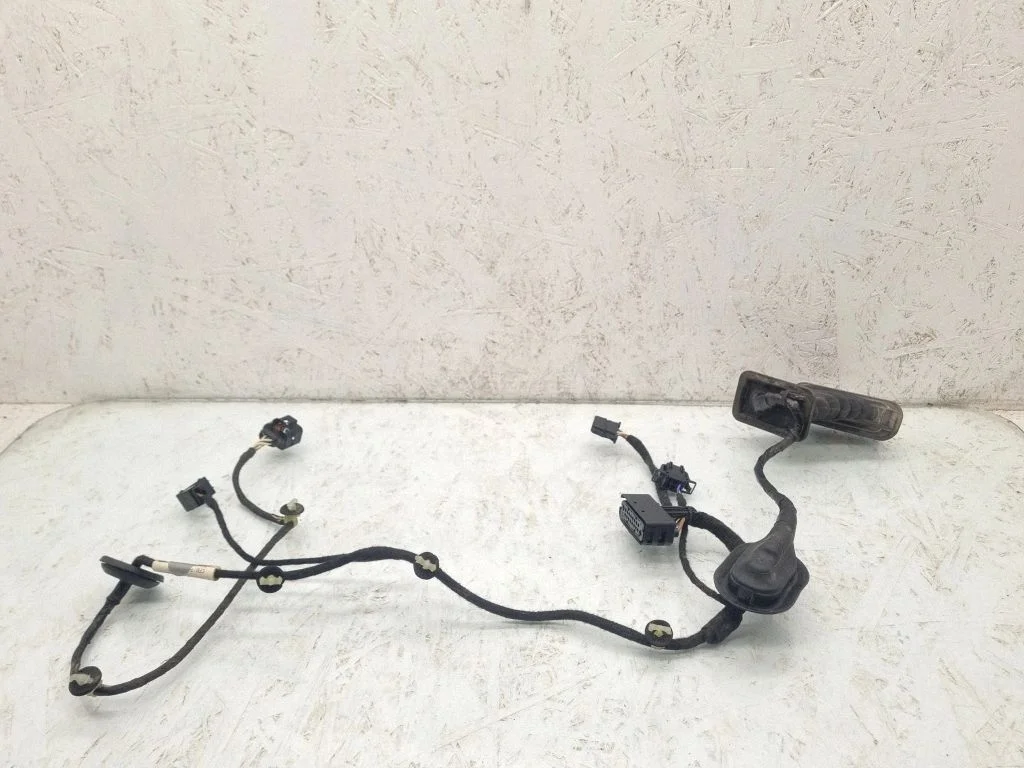 Rear door wiring loom 3C0959843A
