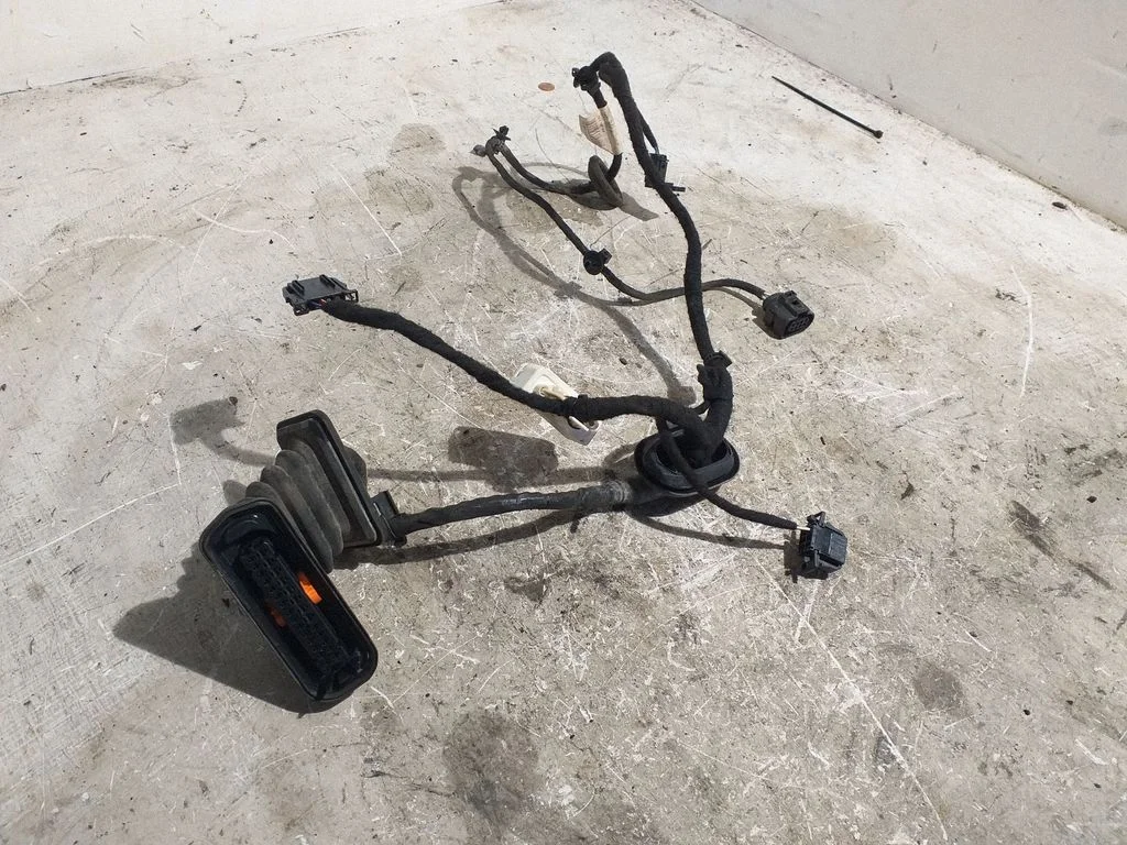 Rear door wiring loom 3C4971093