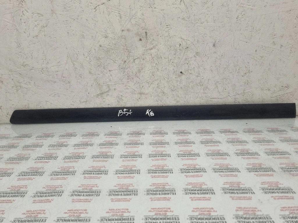 Rear door trim (molding) 3B0853753
