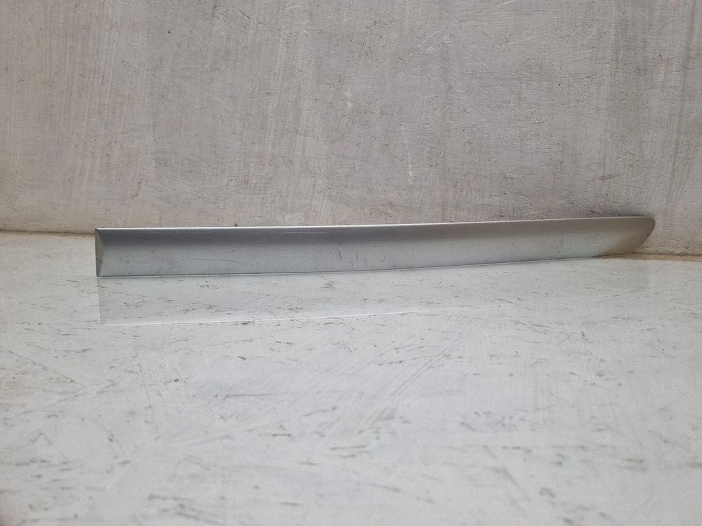 Rear door trim (molding) 1K4853753