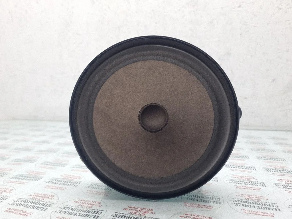 Front door speaker