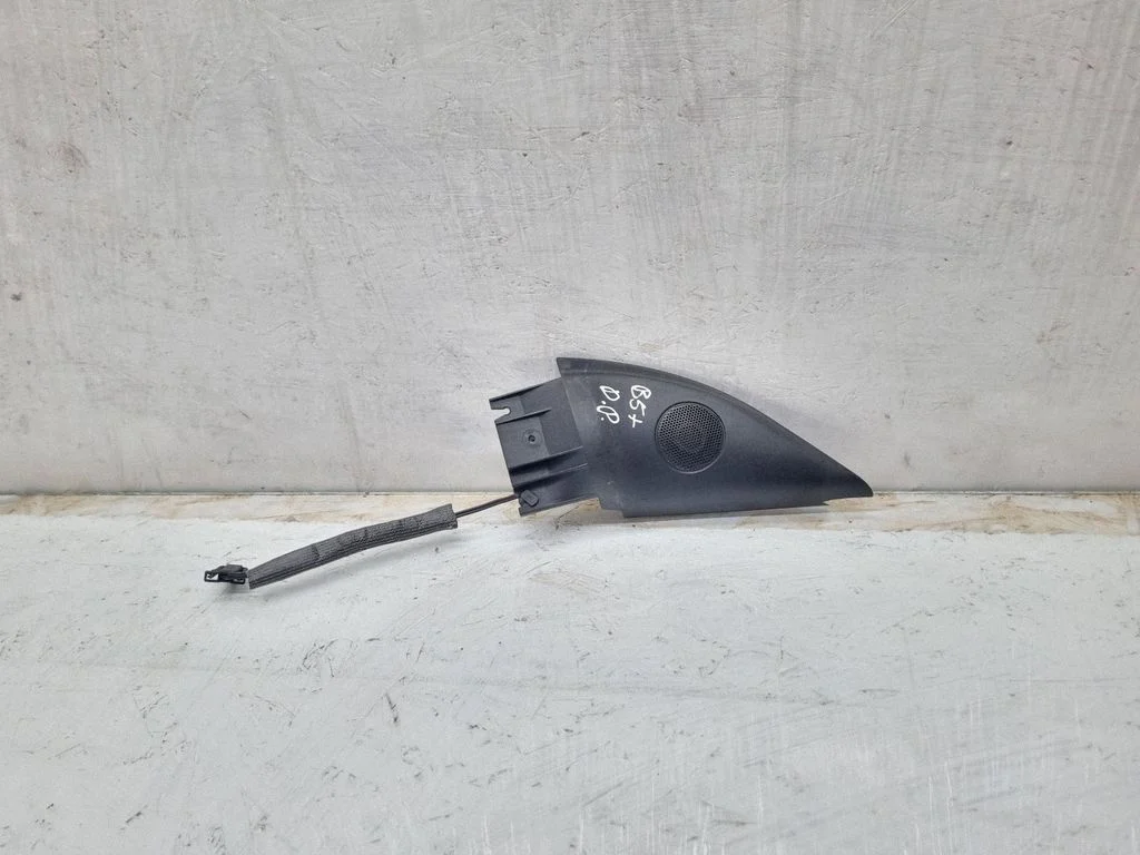 Front door speaker – Volkswagen Passat B5.5 (2001-2005)