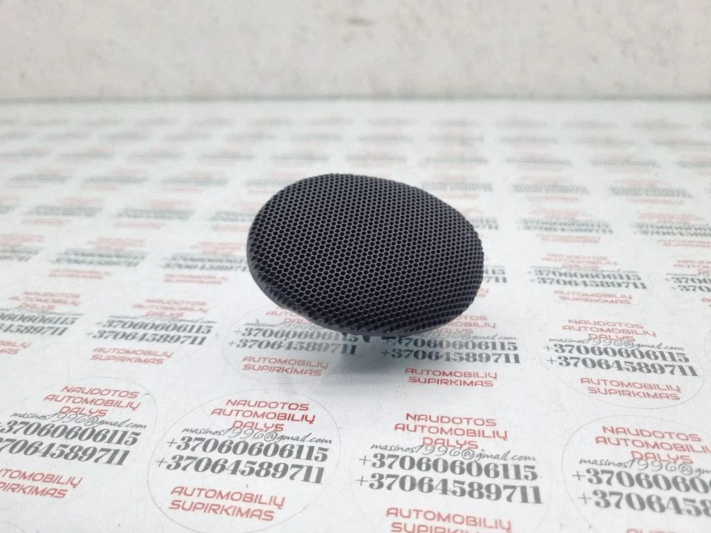 Front door speaker 18808